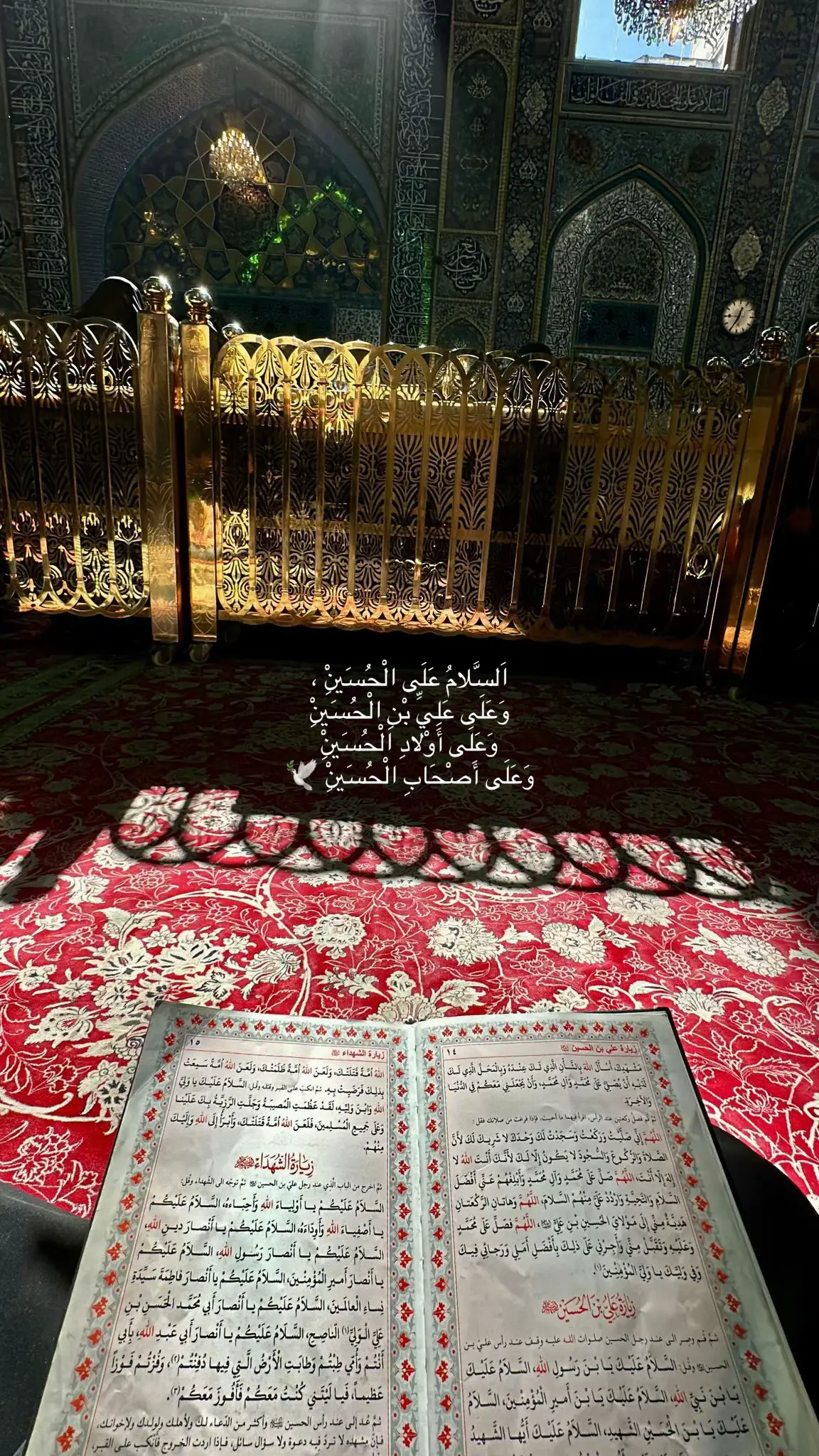 #karbala #313 