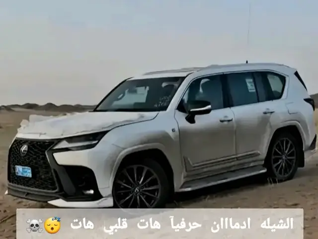 هات قلبي هات ☠#شيلات #طرب #تصميم_فيديوهات🎶🎤🎬 #اكسبلور #tiktokindia 