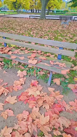 #الخريف_والجو_الجميل🍁🍂 #الخريف #autumn #atum #autun  كثيرون منا يظلمون فصل الخريف🍁، يتناسون الجمال🍂🍂 الذي ترتديه الطبيعة في ذلك الوقت ولا يرون إلّا الكآبة واللون الأصفر 🍁🍁والسقوط، 🍁🍂🍂🍂🍁🍁لا يسمعون إلّا أنين الشجر والأوراق.🍂🍂🍁🍁🍁🍁🍁🍁