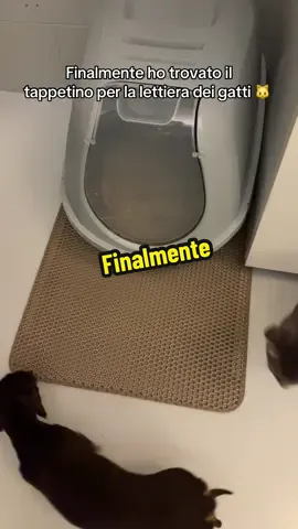 Pratico e comodo per la lettiera dei gatti 🐱 