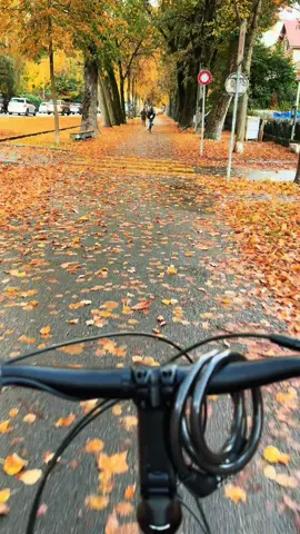 #switzerland🇨🇭 #fall #creatorsearchinsights @everyone 