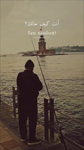 ?Sen nasılsın #اغاني_تركية_مترجمة #fyp #explorer #istanbul #turkey 