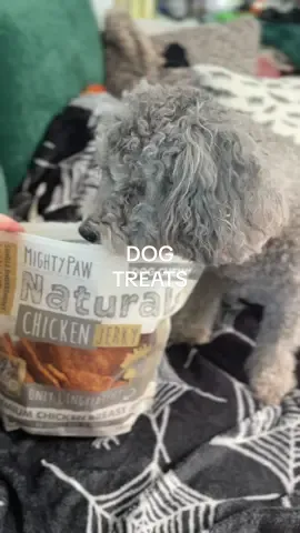 Doris is OBSESSED @Mighty Paw #mightypaw #dogsoftiktok #dogmom #dogtreats #tiktokshopcreatorpicks 