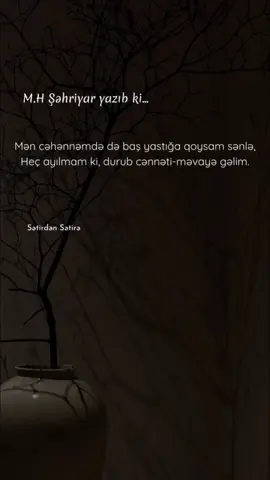Ustad Şəhriyar 🥀 #sətirdənsətirə #shairruhlu 