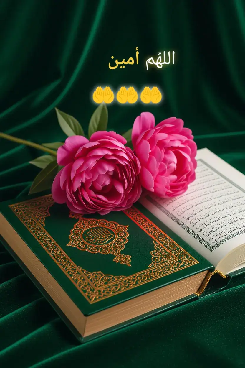 #bismillahfyp#musulman#islam#muslimtiktok#اللهم_صلي_على_نبينا_محمد 