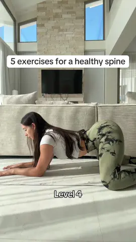 Wenn du eine gesunde Wirbelsäule willst, dann mache diese Übungen jeden Tag, bis du alle Level problemlos ausführen kannst.  #Mobility #spinehealth #DailyYoga #spinehealth #WirbelsäulenFlow 