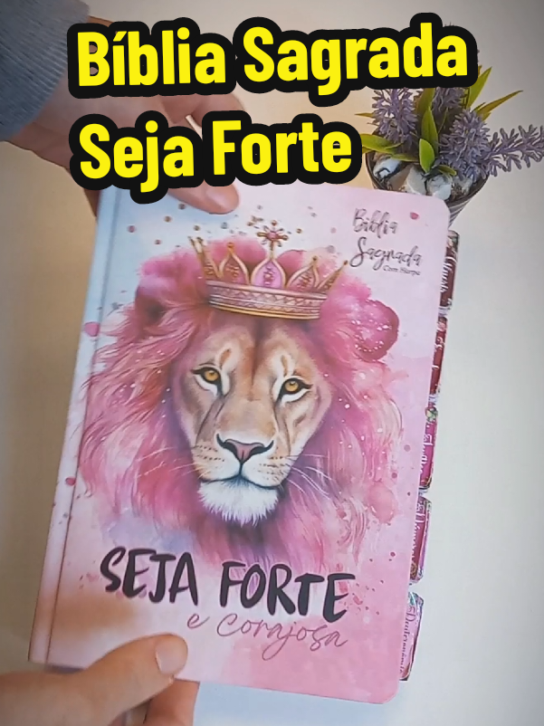 Bíblia Sagrada Rosa com Leão Seja Forte, com Índice em Abas #biblia #bibliasagrada #bibliarosa #bibliatiktok #bibliaparamulheres 
