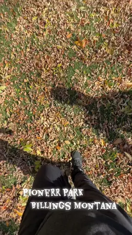 Disc golf at Pioneer Park in Billings Montana on this beautiful day