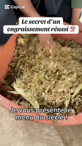 L’engraissement, c’est pas du hasard, c’est de la précision ! Chaque ingrédient compte, chaque dose aussi…#foryou #tiktoksenegal #vachelatiere #eleveurs #agriculture 