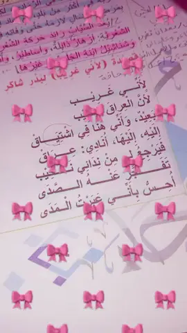 #لأني غريب لأن العراق حبيب