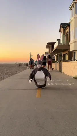 I hate my stupid chungus life. #BugsBunny #meme #bigchungus #funny #prank Newport Beach is beautiful 