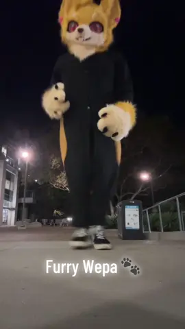 So hard to dance with a fursuit on😭 (imagine i danced on beat n didnt mess up)  shoutout to gintan and all the fursuit dancers😭  I need to practice my wepa, i used to be soo good at it :,)  #fursuitdance #furryfandom #furrydance #cumbiawepa #mexicanfurry 