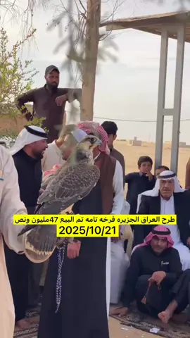 #طوراريح_العراق_والوطن_العربي 