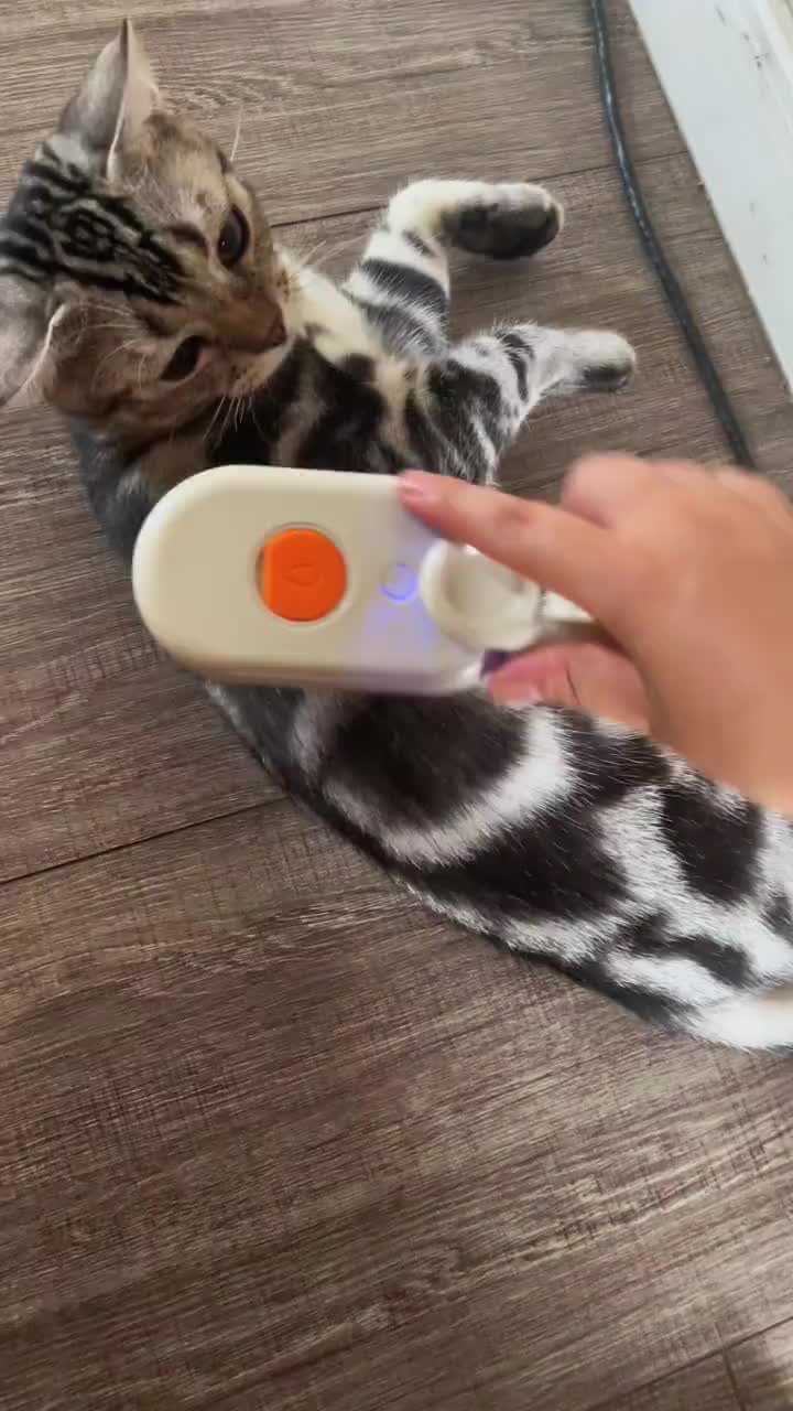 ไม่คิดว่าจะใช้หวีนี้ได้สบายขนาดนี้ มันยังสนุกกับกระบวนการมาก 