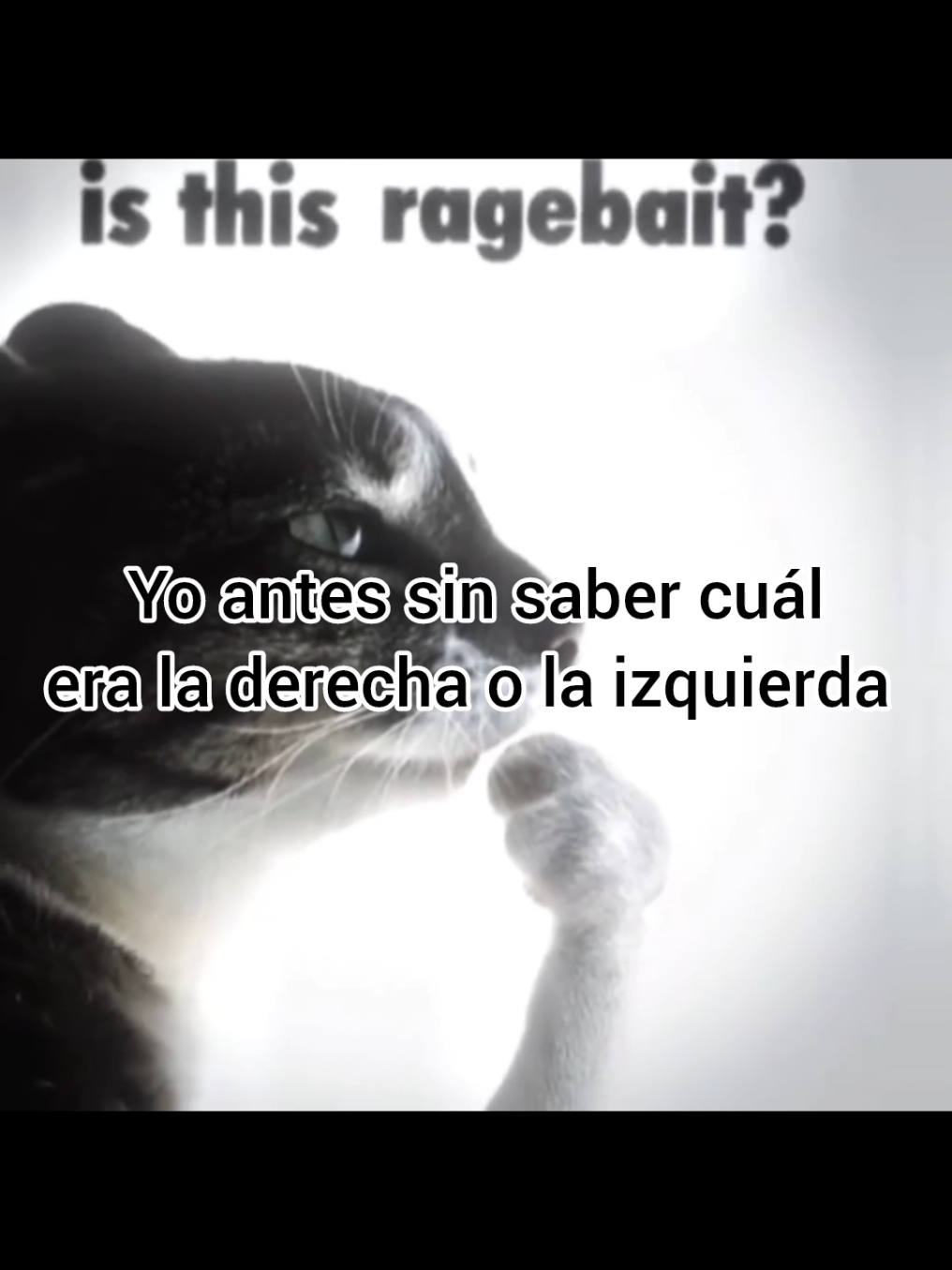 meme o anécdota? créditos a @ghst por el edit xd #humor #fyp #paratii #edit #cat 