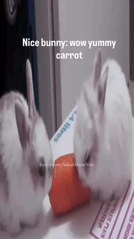 Guys I can’t ever remember what songs I use for these posts so I’m scared I’m going to reuse the same ones over and over again #everyoneaskedaboutyou #fypシ #fypage #everybunnyaskedaboutyou #relatable 