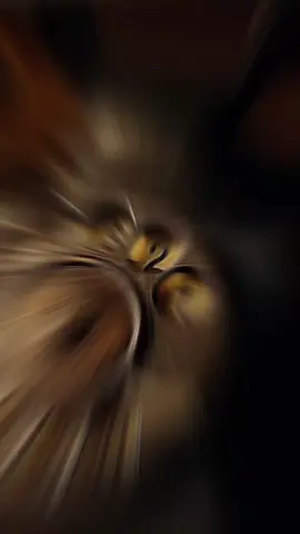 las cosas antes VS ahora  #cosa #transformación #viral #parati 