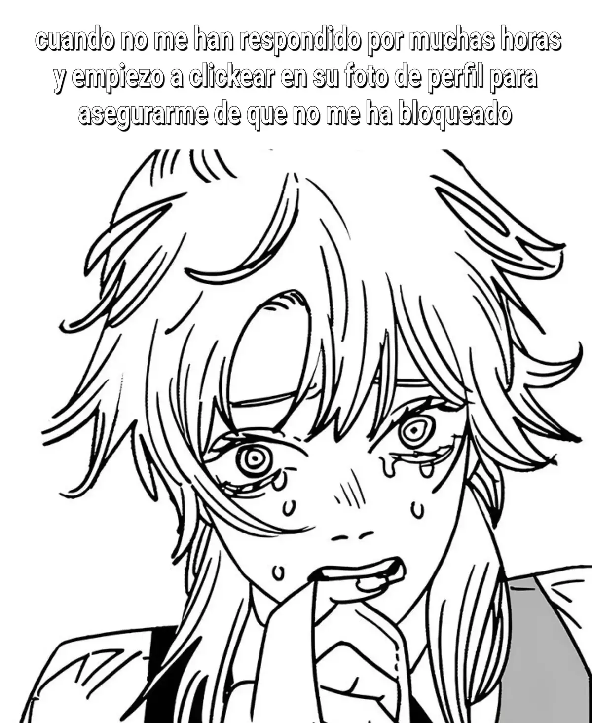 H-hmph! Tampoco me importa si me bloqueas de la nada y haces como si no me conocieras! En lo absoluto...! H-hah? A qué te refieres?! Como que no soy nonchalant?! 🥺 #relatable #real #chainsawman #manga #ghosting