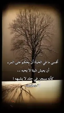#✍️ 