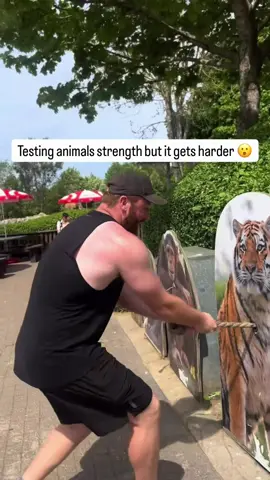 How far would you make it? 🤔 (via @Zack | Online Coach) #strength #strong #challenge #espnsocial 