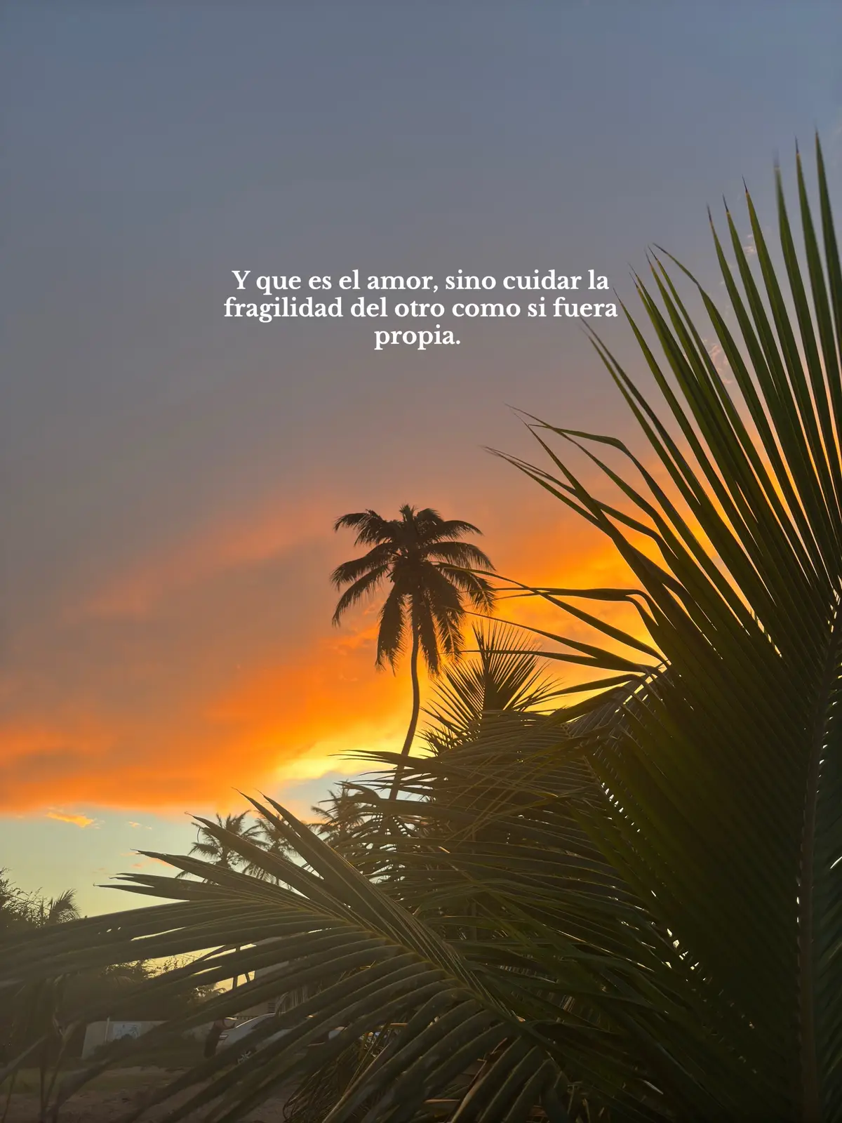 Y que es el amor? Amar bonito es posible. 