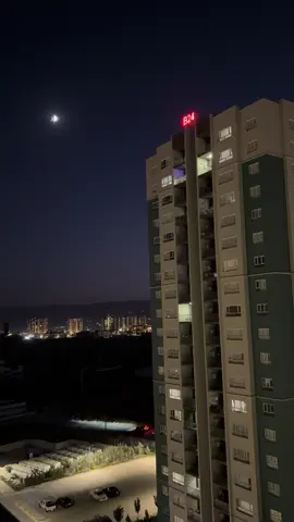 #mahasti🕊🐚 #hayedeh_  #shabemahtab 