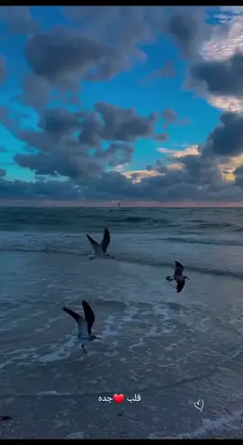 مساء الخير #طلال_مداح #قلب_جده❤️ #صوت_الارض #اكسبلور #اعادةنشر 