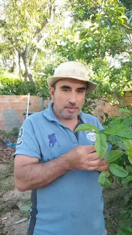 #dublagem #alegria #tik #tiktokindia #humor 