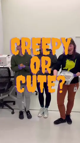 Creepy or Cute? In geology collections! #geology #spookyseason #museum 