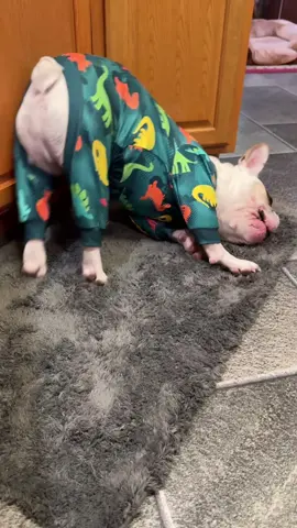 #dogsoftiktok #PetsOfTikTok #cutedoggy #frenchie #petlovers 