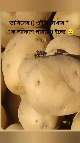 ইচ্ছে#fyppppppppppppppppppppppp #tiktok #trending #foryou #foryoutending 