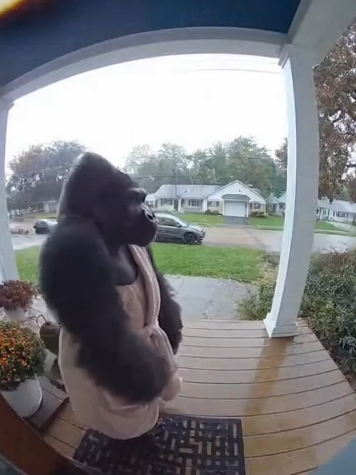 Angry Monkey At the Door #fyp #viral #funnyvideo #ai #sora2