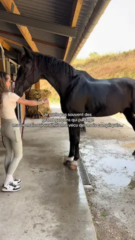 J’en veux terriblement à l’incompétence des professionnels qui ne voyaient que de l’argent est pas un être vivant rempli d’amour.. notre lien de cagnotte est en bio🙏🏻🙏🏻#horsegirl#amour#pourtoii 