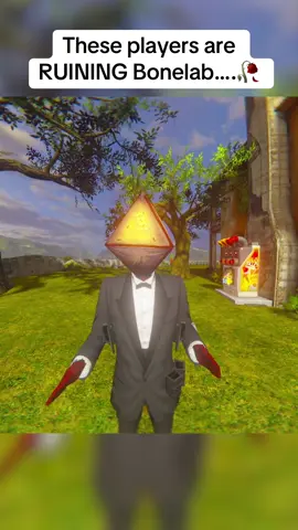 Ill NEVER catch a break 😔✌🏼#fyp #xyzbca #real #vr #bonelab 