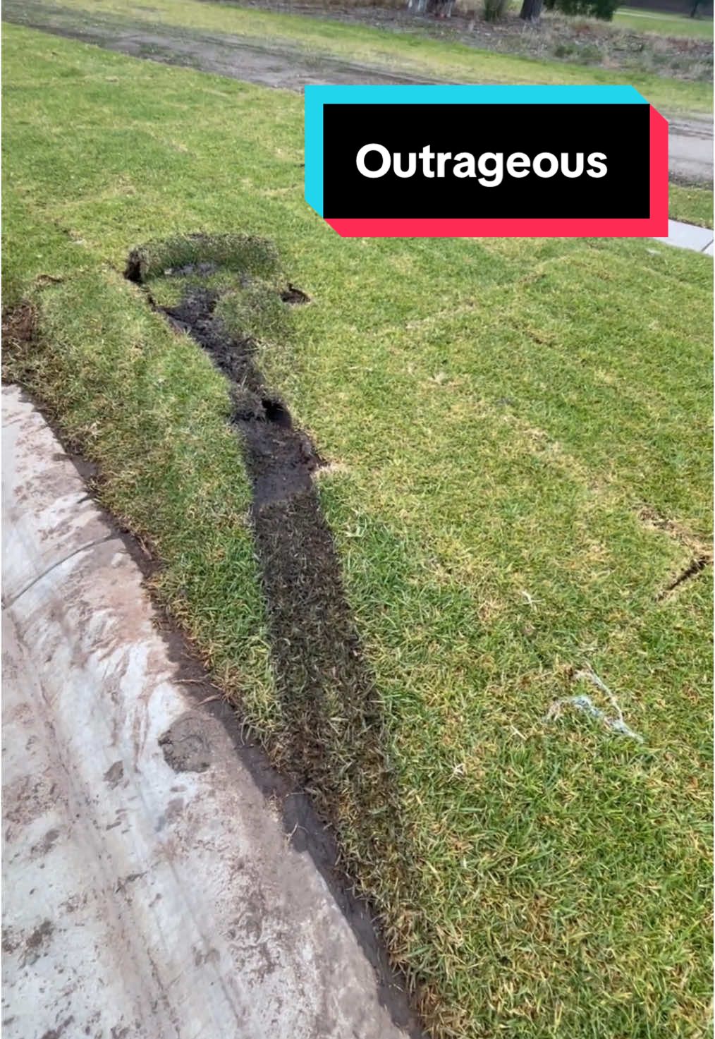 Outrageous behaviour!  #outrageous #cantparkthere #skids #pisstake #getoffmylawn #cantparktheremate #turfgrass #layingturf #lawncare #lawns #lawn #lawncarenut #lawnsofinstagram #lawntok #lawndad #australia #posty #australia🇦🇺 #fyi #viral 