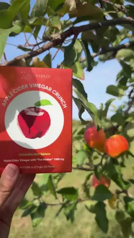 Went to the apple orchard to find the best apple and end up going home with your new wellness fave - Apple Cider Vinegar Crunch 😍🍎 *ACV Crunch cannot actually be found at apple orchards but can be found at our 🔗 in bio 😉 #applecidervinegarcrunch #acvcrunch #applecidervinegar #wellness #applepicking
