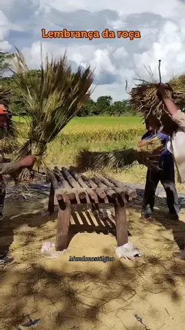 #interior #vidanaroça #nostalgia #fyp #viral 