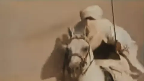 عَاتَبْتُ سَيْفَ المُرْتَضَىٰ وَ المُرْتَضَىٰ حَيْدَر لمَّا سَعَىٰ الأبْتَّر لِلْبَابِ وَ أَسْتَكْبَر . #البصرة_الحبيبة_شط_العرب  #اكسبلور #متابعه_ولايك_واكسبلور_احبكم 