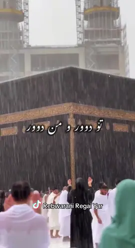 #شەهرام_مەنصوری #اللهم_صل_على_نبينا_محمد #fyp #comment #foryoupage 