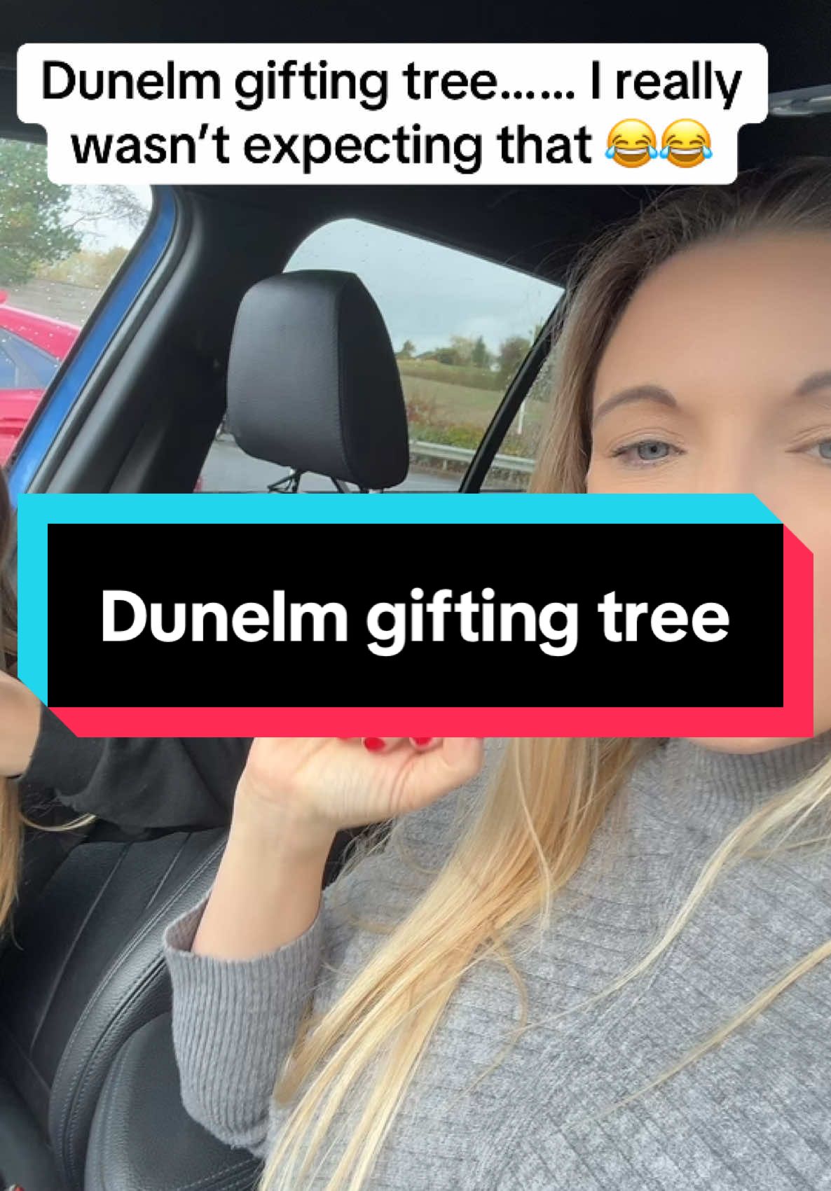 #dunelmgiftingtree #unexpected #thoughtitwasababy #christmasgifts #dunelm 