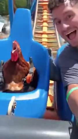 First chicken roller coaster#chickensoftiktok #chickennuggets #sixflags #chickenrecipe 