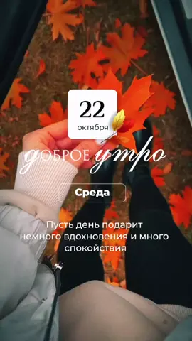 #доброеутро  #хорошегодня  #top 
