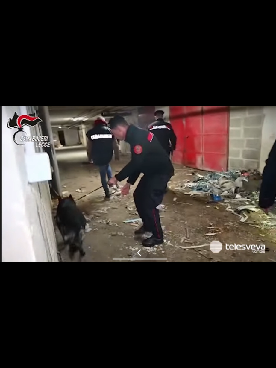 19 arresti per traffico di dr*ga in provincia di Lecce #mafia #gangster #business #lecce #boss 