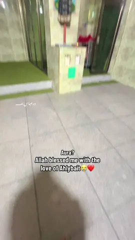 Allhamdulilah blessings😭❤️ #foryoupage❤️❤️ #for  #shiareels #viraltiktok  #explore 