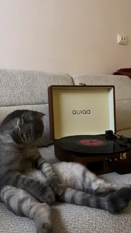 Yalnızlığım kalabalık, sessizliğim çığlık.  -Cemal Süreyya  #bademiniz #plak #seldabağcan #nostalji #keşfet 