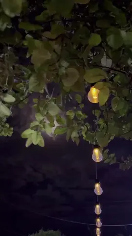 🌚🔥 . . . #fypシ #mortezapashaei #viral #🖤 #🪐