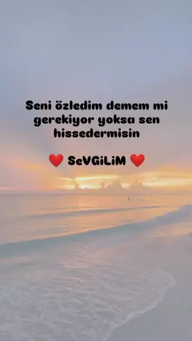 ❤️Ö❤️MRÜMM 🤗23.23🤗 Seni özledim demem mi gerekiyor yoksa sen hissedermisin  ❤️SeVGiLiM❤️ #sevdayeli250921 #keşfetbeniöneçıkar #keşfetteyizzz #keşfetedüş #capcutvelocity 