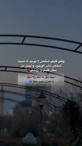#في قلبي شخص لا يوجد له شبيه شخص نادر الوجود وأجمل من سكن قلبي وروحي أحب بكل شيء ولا املك يا عمري سوى حبك.. ♥🫂