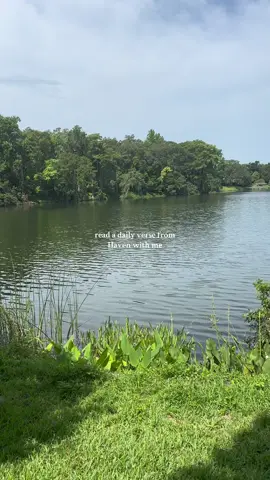 what verse did it give you? 