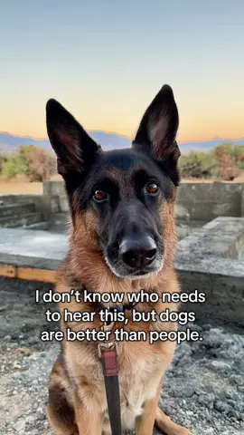 I said what I said😎🐾🐾